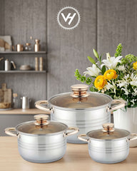 6-Piece Stainless Steel Pot Set with Lids