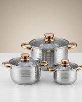 6-Piece Stainless Steel Pot Set with Lids