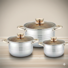 6-Piece Stainless Steel Pot Set with Lids