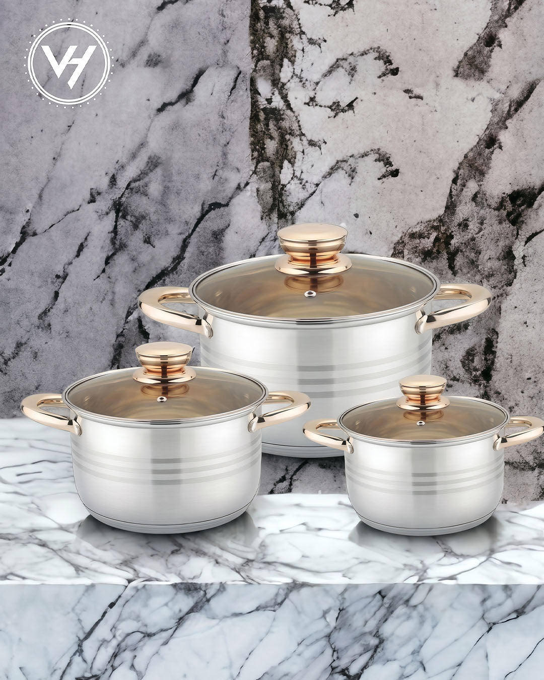 6-Piece Stainless Steel Pot Set with Lids