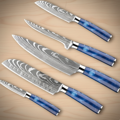 5-Piece Damascus Stainless Steel Knife Set